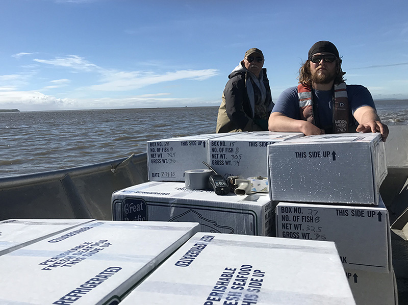 Fish on boxes on boat